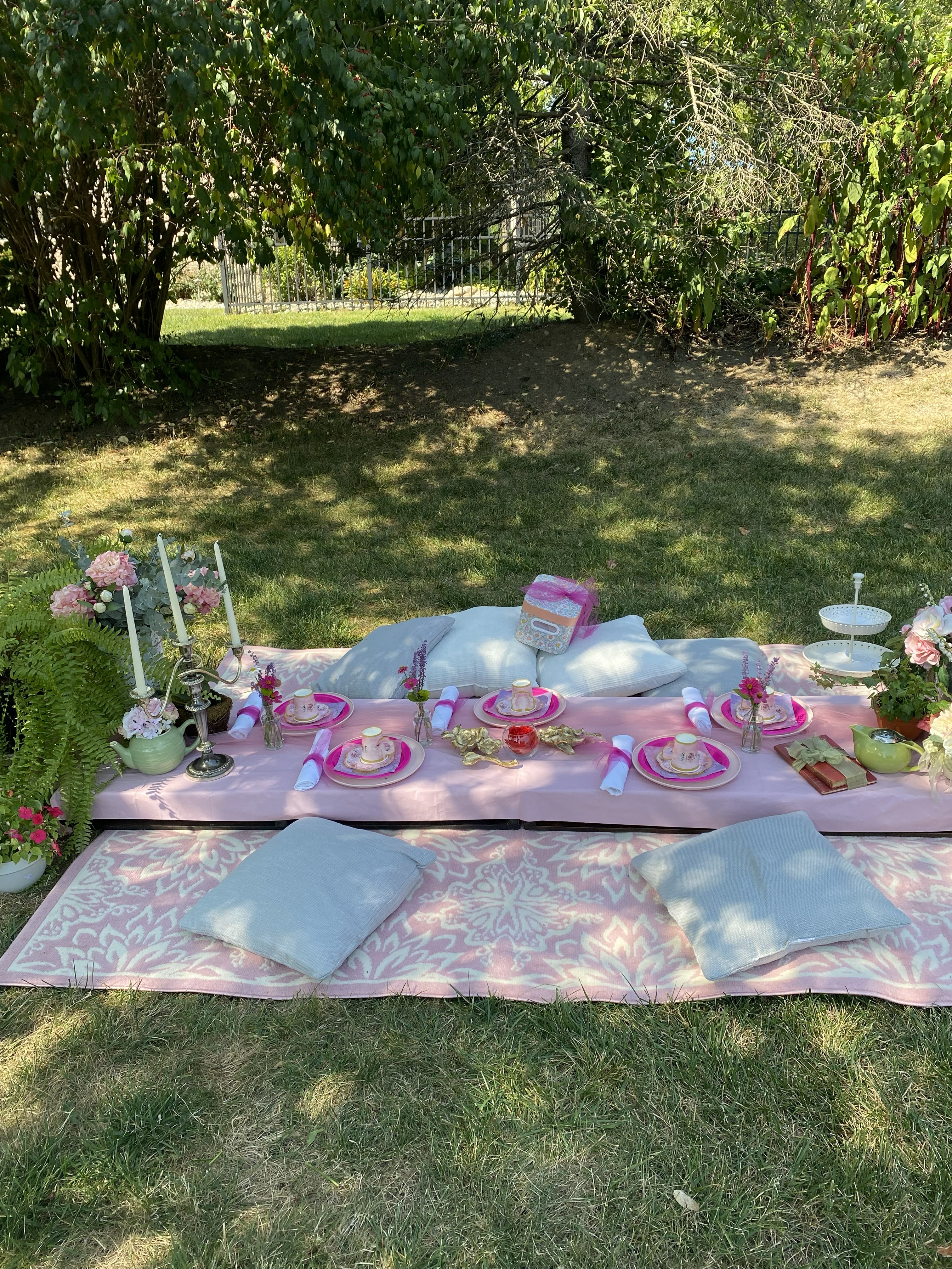 Outdoor Picnic Aesthetic
